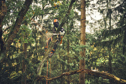 STIHL pilarka do pielęgnacji drzew akumulatorowa MSA 220 TC-O, 30 cm (bez akumulatora i ładowarki) - zdjęcie 7
