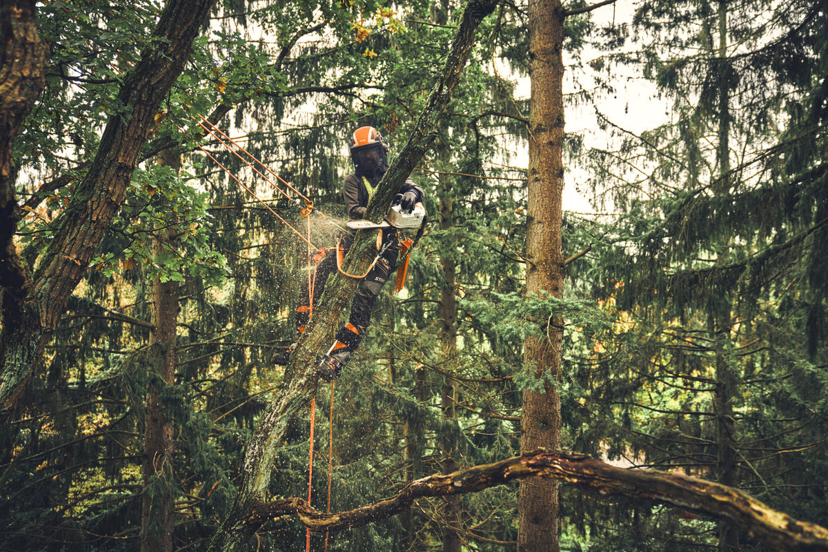 STIHL pilarka do pielęgnacji drzew MSA 220 TC-O, 35 cm, akumulatorowa (bez akumulatora i ładowarki) - zdjęcie 7
