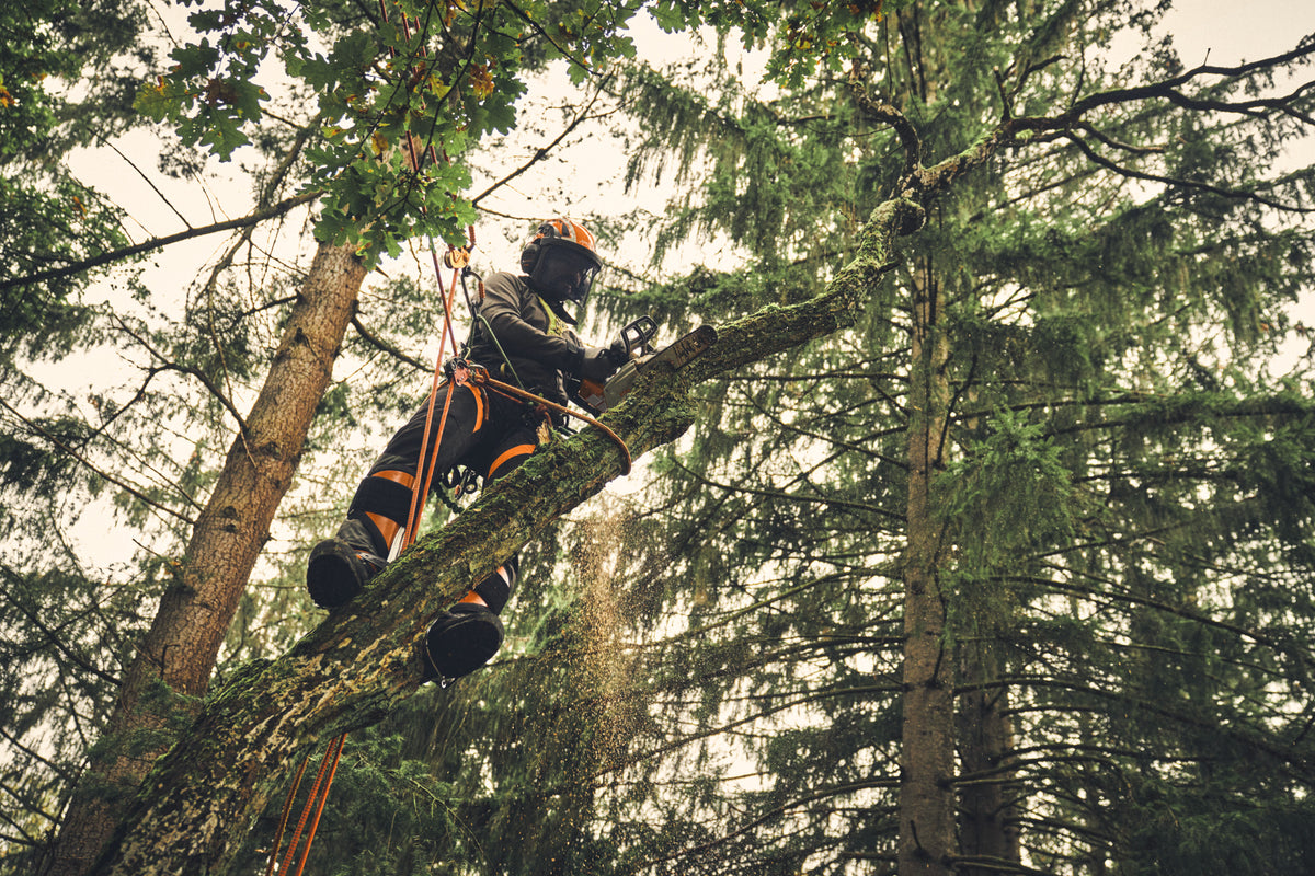 STIHL pilarka do pielęgnacji drzew MSA 220 TC-O, 35 cm, akumulatorowa (bez akumulatora i ładowarki) - zdjęcie 6